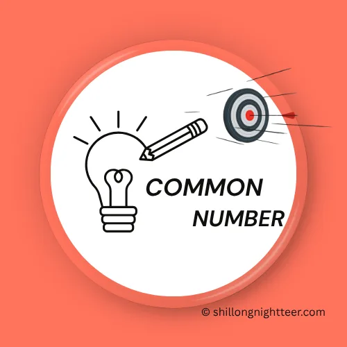 Shillong night teer Common number 
